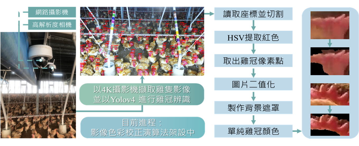 肉雞器官影像辨識系統